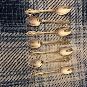 Elegant Silver Spoons Set